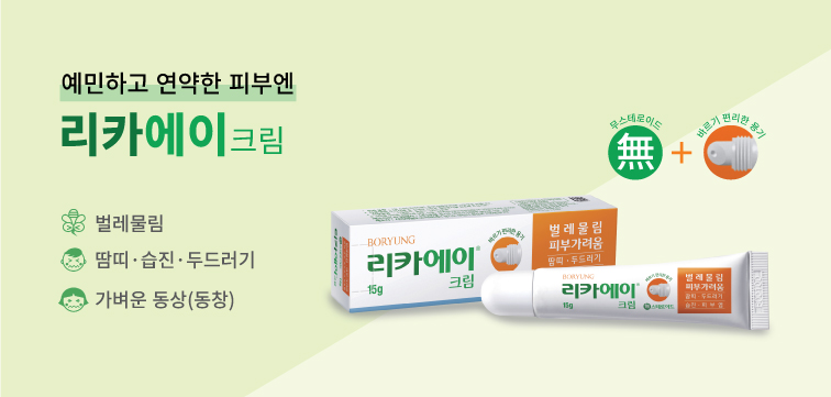 메인 비주얼